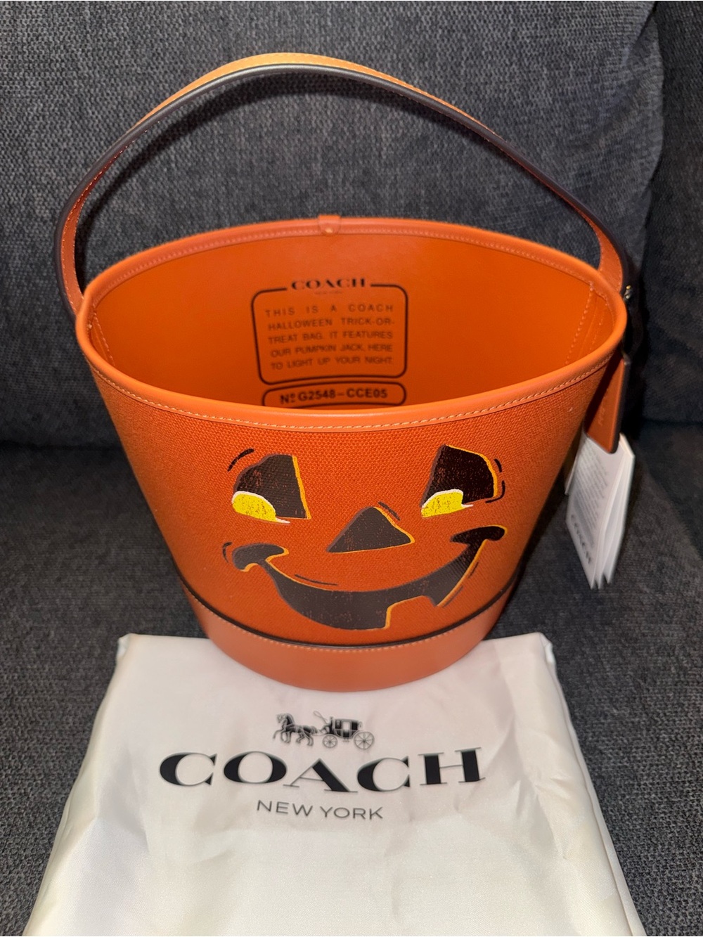 Coach Orange Jack-o'-Lantern Bucket Bag